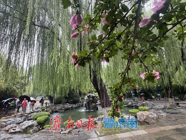 一年四季 泉在济南丨秋雨添韵，“月牙飞瀑”引人瞩目