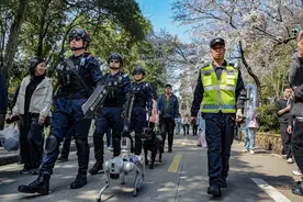 PTU+机器狗+警犬+无人机，武昌公安立体护航武大赏樱季图片
