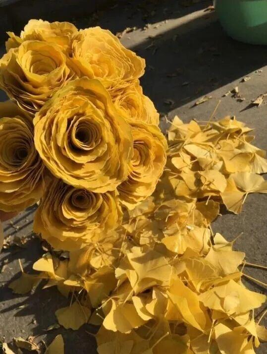 秋日限定“双骄”：从赏到玩转的完整攻略！