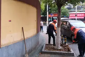 树池挤占人行道，相关部门：马上移除图片