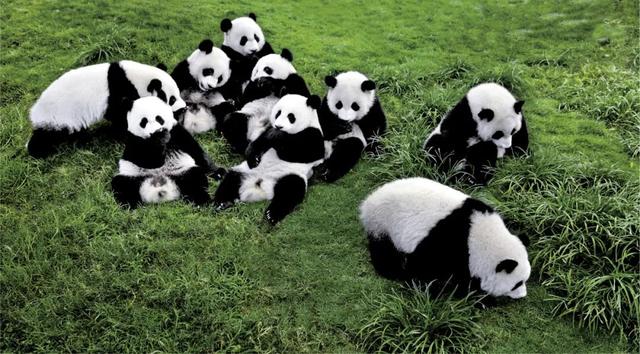 成都世运会 | 跟着世运会游四川！十条精品线路带你见见四川“世面”！