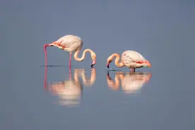 花地·大学文苑｜陈楚敏：当留学生和我说起普通话图片