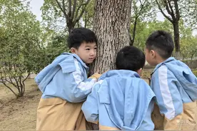 大树会“说话”？萌娃用喷彩画和标本记录自然“悄悄话”图片