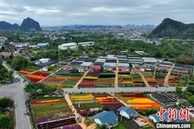 南方花卉苗木交易会在桂林举行 “小花卉”成“大产业”图片