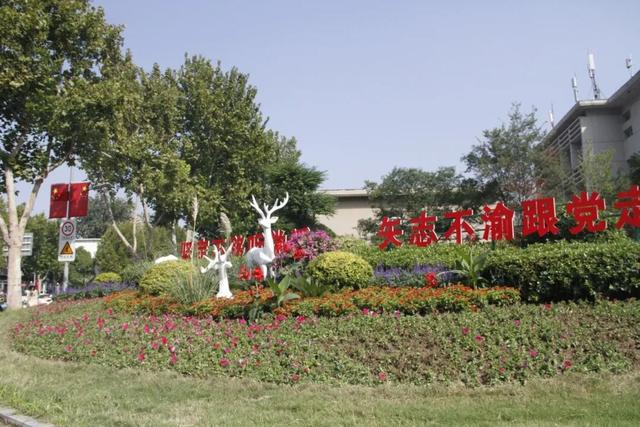 这边风景“郑”好（三）：花海成景 节日色彩分外浓