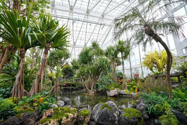 预计4月正式向公众开放！宁波新增一个打卡好去处