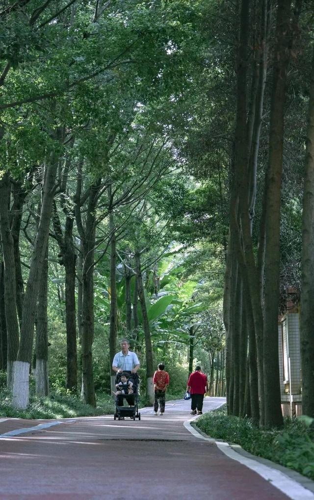 骑进青白江的秋天！这份绿道打卡攻略快收藏