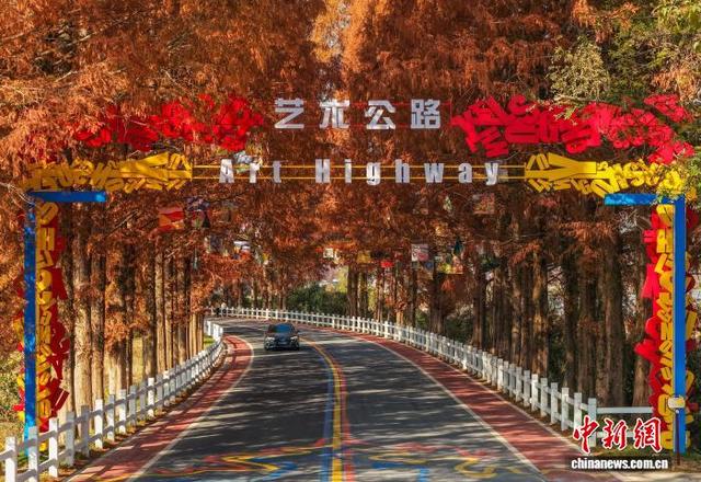 安徽休宁：冬韵铺展“艺术公路” 人车穿行入画来