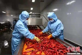 中国红干椒之都：小辣椒“香辣”国际大市场图片