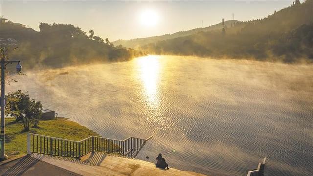初冬的曲靖城红枫似火 黄叶如金