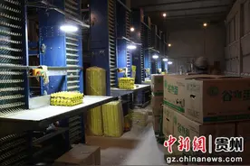 石阡：科技赋能传统养殖 “智慧”助企降本增效图片