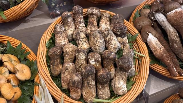 飞昆明吃几顿饭
