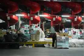 凌晨上飞机！浙江水果卖到国外，一颗超30元！一上架就卖完…图片