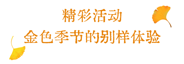 洛阳这个宝藏去处，秋天必打卡！