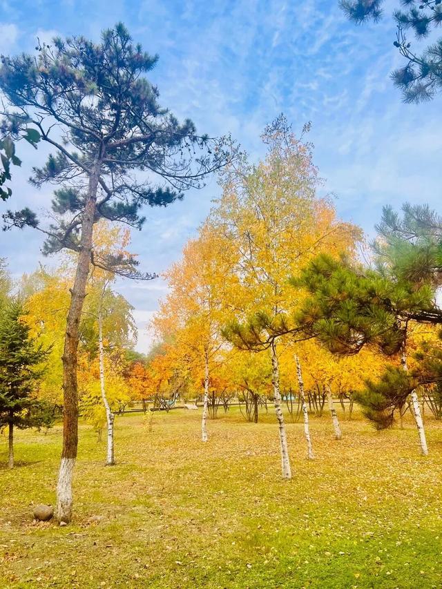 这样的延吉秋日限定美景，你见过吗？