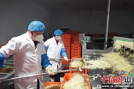长治上党区：“小豆芽”培育出大产业图片