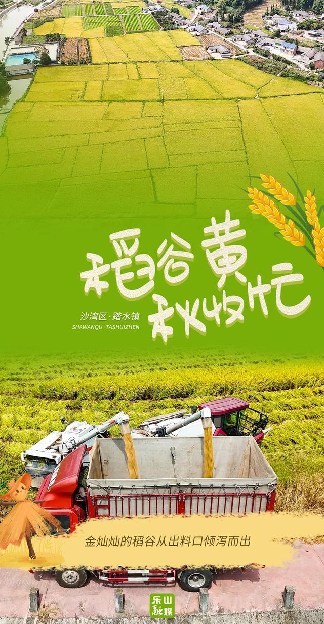 海报丨看！乐山 “醉” 美 “丰” 景上线