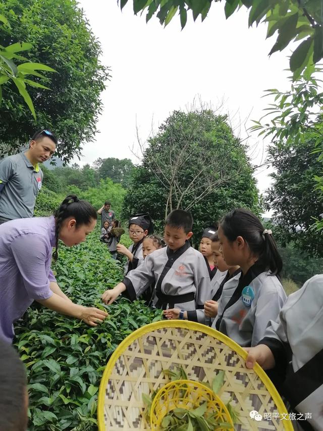 2.5h缩短至1h车程!趁高速通车来这两座宝藏小城,品品茶香和诗意……