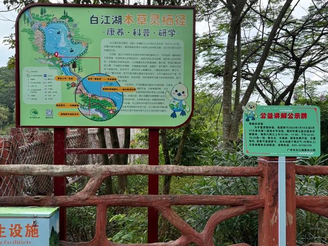 白江湖森林公园第二届戏水活动盛大开幕