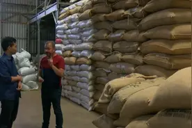 气候挑战与货币升值 哥斯达黎加咖啡产业面临双重困境图片