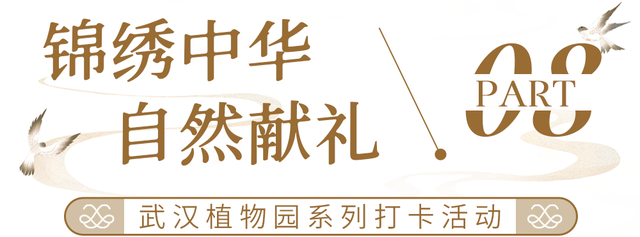 东湖国庆超多活动上新，假期必刷清单来了！
