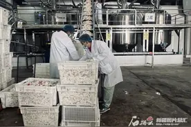 锚定“新疆药都” 和田底气何来图片