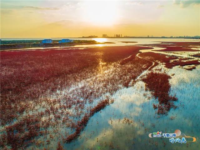 出发！抓住秋天的尾巴！威海“拾秋地图”上新啦