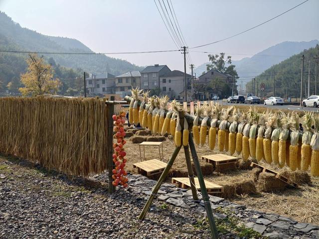 写点生活｜又见盛开在记忆深处的晚饭花