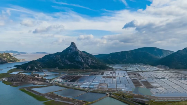 晚潮｜海风里的红美人