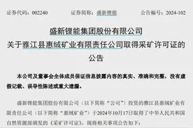 300万吨/年！盛新锂能喜提亚洲最大单体锂矿采矿权！图片