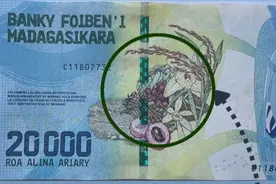 钱币上的“中国元素”，记录并续写着美好的“中非故事”图片