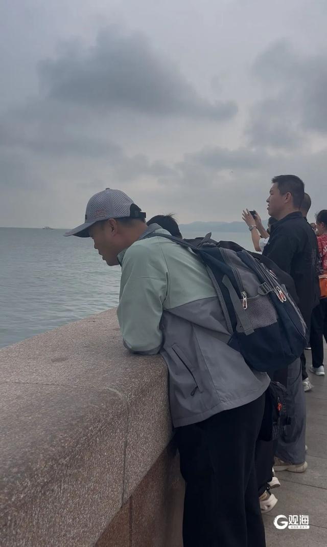 就在青岛栈桥，一大群鱼“开会”了！最小的也有30厘米长，市民游客伸着头围观：以前真没见过
