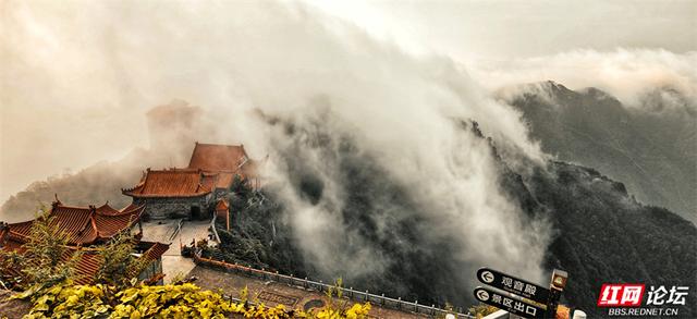 欢庆时刻丨张家界五雷山云海翻涌，古刹宛若仙境坠落人间