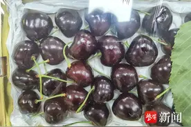 一斤200元，一粒10元钱！樱桃界的天花板“俄八”来了图片
