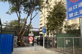 沙面、白鹅潭一次性打卡！黄沙码头至沙面岛人行专用通道开通图片