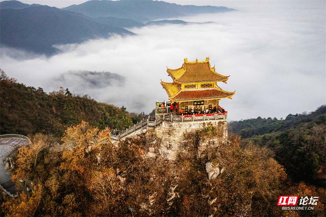 【每日一图@湖南】周末去哪儿？漫步靖州飞山云雾仙境，收藏苗侗冬日浪漫