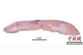 新研究揭示青藏高原古人类丹尼索瓦人的生存策略图片