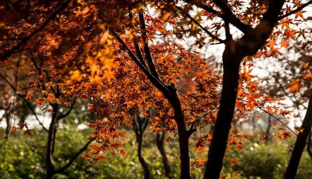 中国国家地理推介！宣城这里，将迎最美时刻！