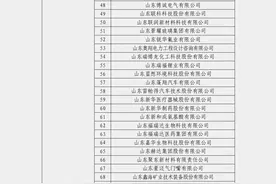 国家级认证！晨鸣集团获评2023年国家知识产权优势企业图片