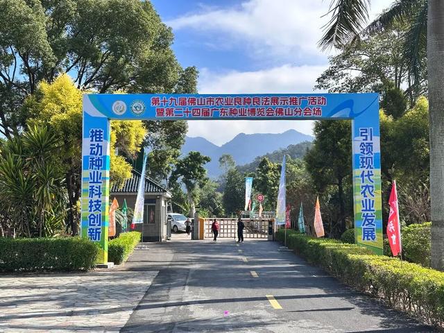 广东新晋网红地！浪漫花海、直升机飞行、地道美食…三水这个地方藏不住了