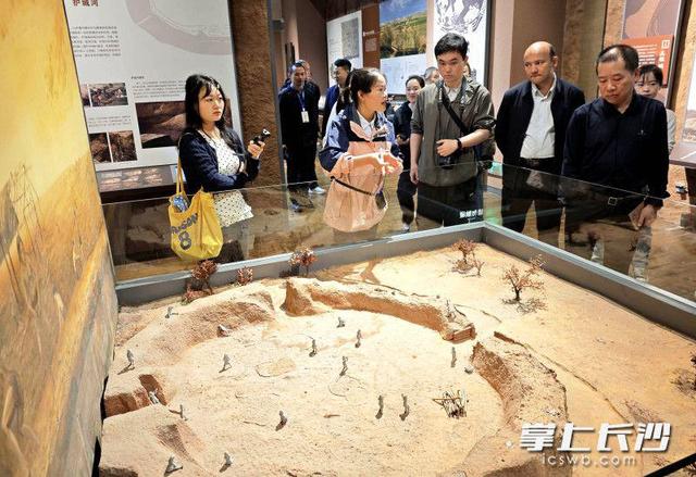 “考古+农耕”双体验，中国最早的城市遗址等你来打卡｜“来这澧 爱这澧”系列报道⑥