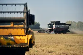 俄副总理：俄罗斯2023年粮食收成预计约为1.4亿吨图片