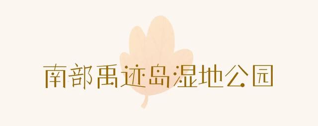 不是在云南，南充这里的水杉被问爆了~