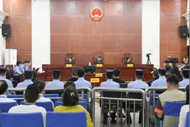 猎杀“鸟中大熊猫”东方白鹳案一审宣判图片