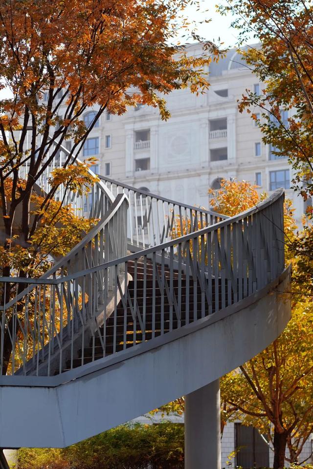 普陀·遇见新视角｜解锁专属你的氛围感大片，秋冬就来普陀这里拍→