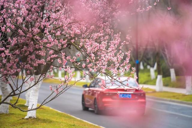 四时天工 扬州如画