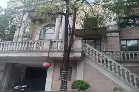 深圳一别墅9563万元拍卖！法拍住宅标王还有这些图片