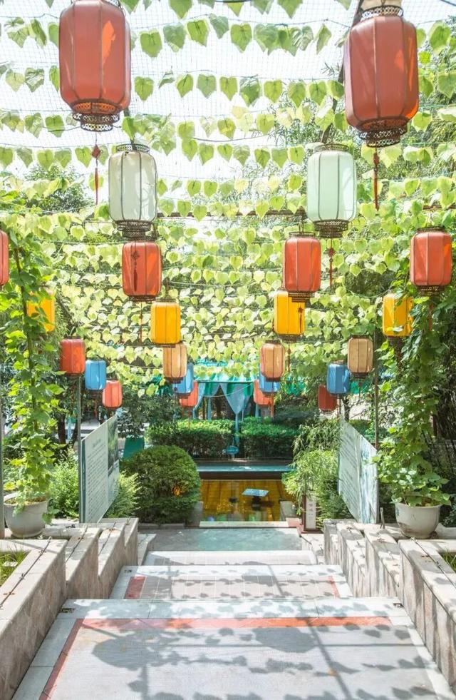 天太冷，不如“泡”在河南！