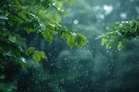 令人“齁湿”的季节，最适合健脾化湿！快来了解既是中药也是蔬菜的TA→图片