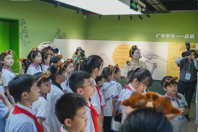 绿美云山丨以森林入药 漫享云山身心疗愈